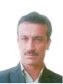 نه‌زير چه‌مباهيڤى