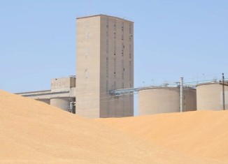 تەنا گەنمی ب 850 هزار دیناران ژ جۆتیاران دێ هێتە كڕین