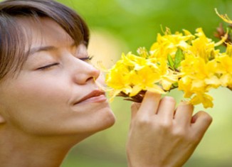 رێیێن سەرەكی یێن دلخۆشیا مرۆڤی