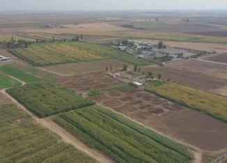 هەلوەشاندنا بڕیارێن سەردەمێ حزبا بەعس پێنگاڤەكا گرنگە بۆ بجهئینانا مادەیێ 140