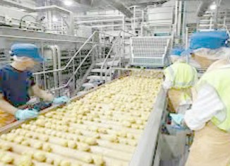 مەزنترین دەڤەرا پیشەسازیا ئاهێن خوارنێ ل سێمێلێ دێ هێتە دانان