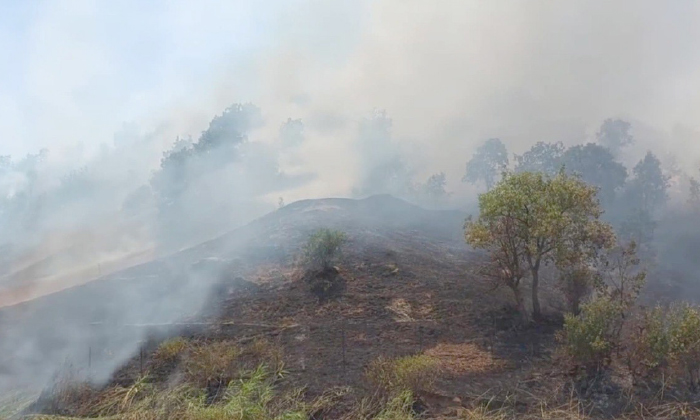 شەڕێ پەكەكێ و توركیا پتر نێزیكی سەنتەرێ باژێران دبیت