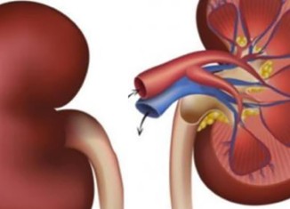 پتریا نەخۆشێن ژ کارکەفتنا گولچیسکان هژمارەک نەخۆشیێن دی هەنە