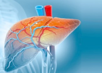 ئەڤ خوارنە زیانێ ل مێلاکێ دکەن