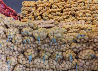 دەشتا ناڤكوڕێ ل بەردەڕەش ئێكەم دەڤەرە بۆ چاندنا پتاتا ل كوردستانێ و ئیراقێ