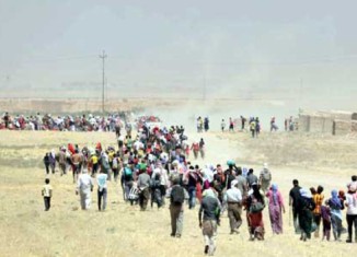 پەرلەمانتارەك: ئەو سۆزێن وەزارەتا كۆچ و كۆچبەرێن ئیراقێ داینە ئاوارەیان بجهـ نەئیناینە