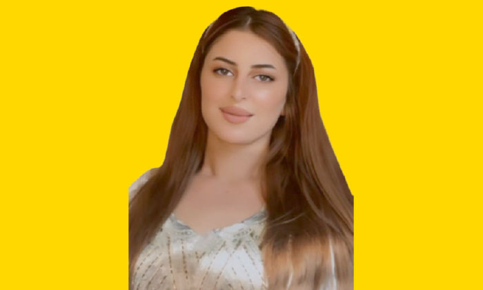 سەرۆک و سەرکردە