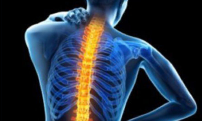 د ڤان دەمان دا بۆ پشتئێشانێ سەرەدانا نۆشداری بکە