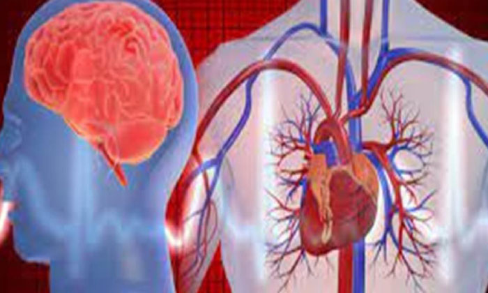 ساخلەمیا جیهانی هۆشداریێ ژ جەلتێ ددەت