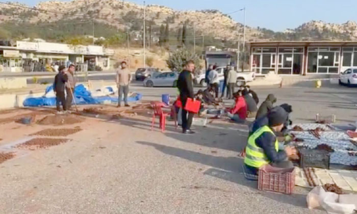 پڕۆژەیێ تۆڤێ ژیانێ بۆ چاندنا پتر ژ ملیۆن داران