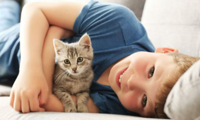 گیانەوەرێن ناڤ مالێ حەز و ئارەزوویێن زاڕۆکی دگوهۆڕن