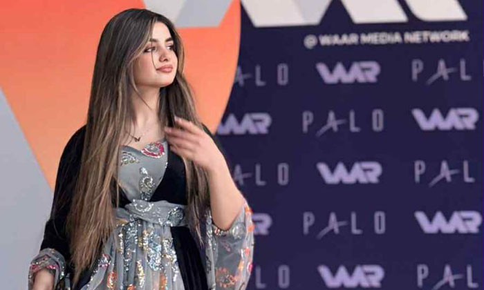 د مال دا مایك