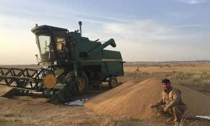 گەنمێ سایلۆیێن دهۆكێ ل سەر 13 كارگەهێن چێكرنا ئاری دێ هێتە بەلاڤكرن