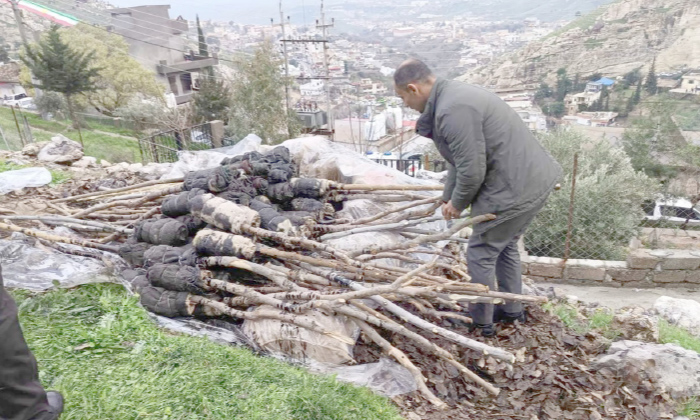 دەست ب بەرهەڤیان بۆ مەزنترین كەرنەڤالا نەورۆزێ ل ئاكرێ هاتیە كرن