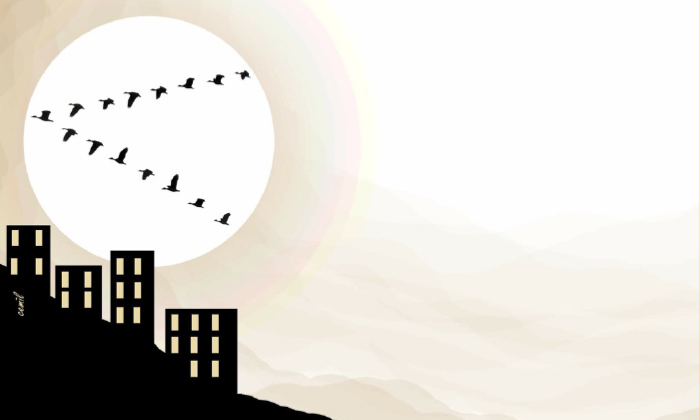 سەرفەرازییا بریندار