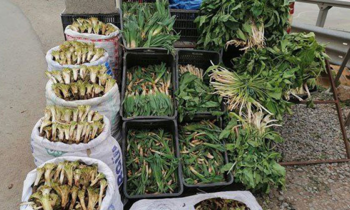 ل دینارتە گیایێن سروشتی ژێدەرێ سەرەكیێ ئابووریێ وەلاتیانە